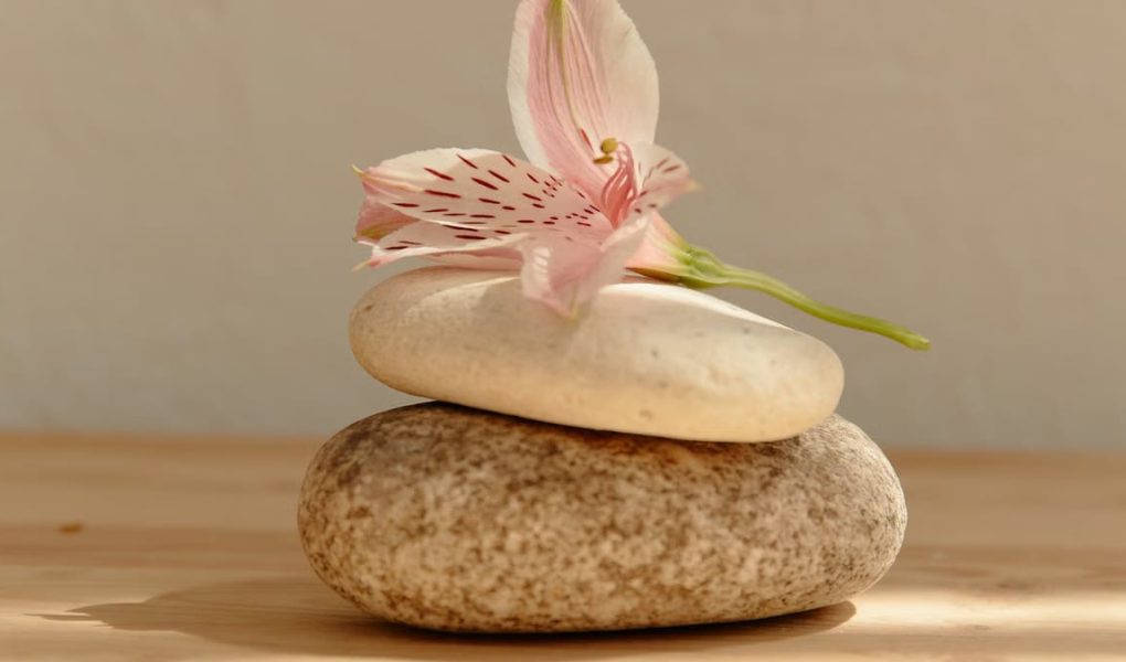 Rituels naturels pour se ressourcer : guide complet