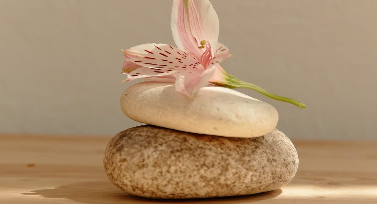 Rituels naturels pour se ressourcer : guide complet