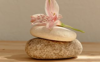 Rituels naturels pour se ressourcer : guide complet