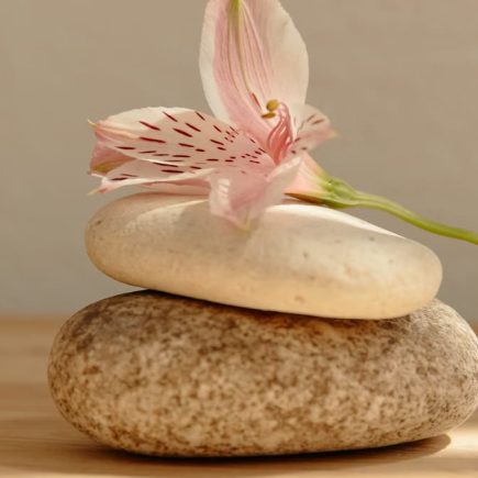 Rituels naturels pour se ressourcer : guide complet