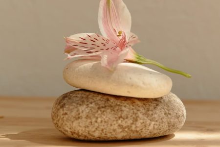 Rituels naturels pour se ressourcer : guide complet